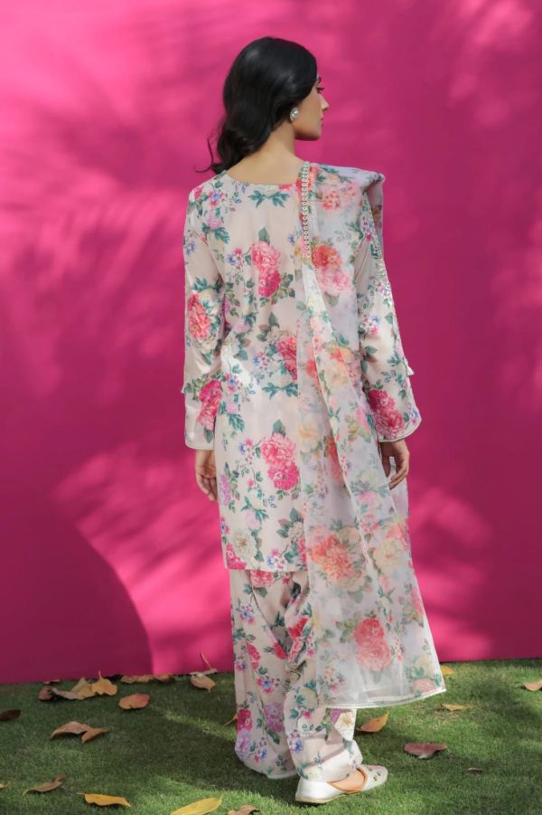 Lameesa everyday elegance Munsell