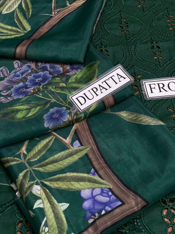 Lameesa Embroidered Chicken Kari with Daman Patch,Dyed, Printed and Patch work in different deep colors - Image 8