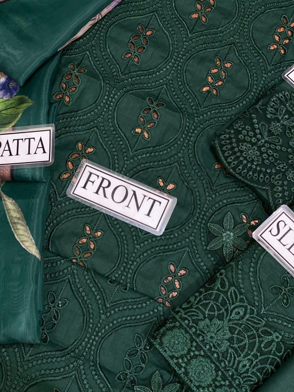Lameesa Embroidered Chicken Kari with Daman Patch,Dyed, Printed and Patch work in different deep colors - Image 6
