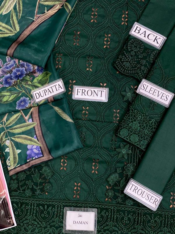 Lameesa Embroidered Chicken Kari with Daman Patch,Dyed, Printed and Patch work in different deep colors - Image 5