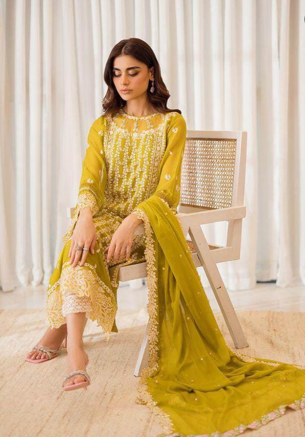 LAMEESA Chiffon Embroidery Collection - Image 4