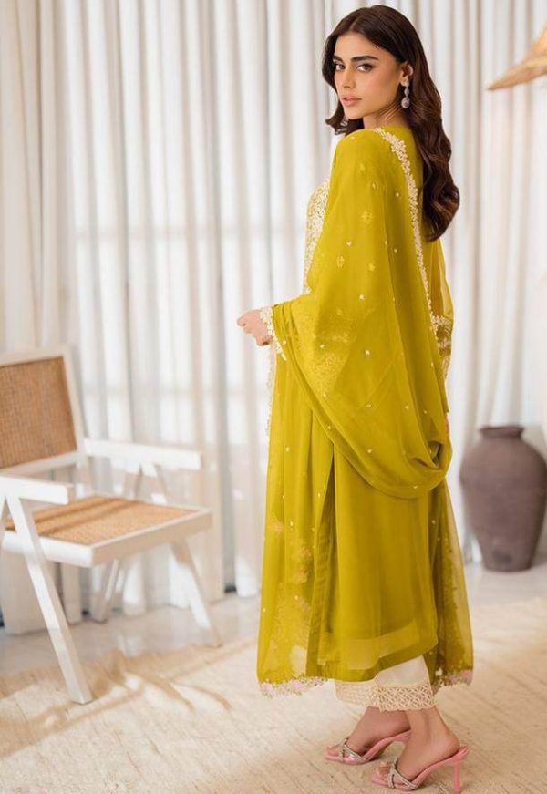 LAMEESA Chiffon Embroidery Collection - Image 2